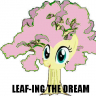 fluttershythetree