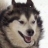 notxor