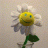lifning
