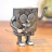 metalbob