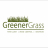 Greener Grass Ltd