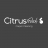 Citrus Fresh Carpet Cleaning